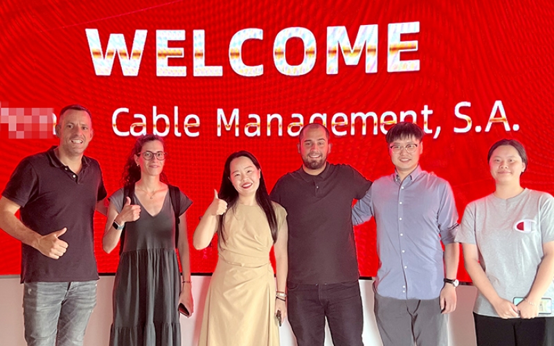 多家外企来访 DB旗舰官方品质走向世界