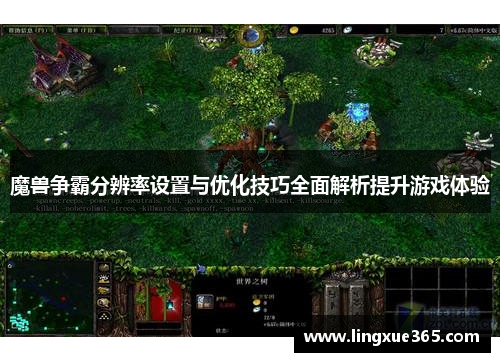 魔兽争霸分辨率设置与优化技巧全面解析提升游戏体验