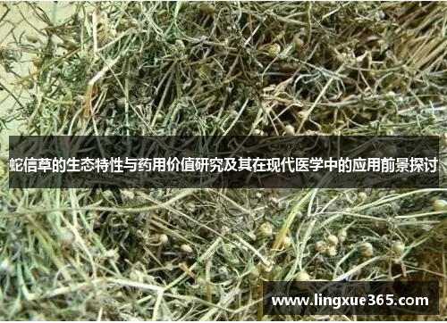 蛇信草的生态特性与药用价值研究及其在现代医学中的应用前景探讨