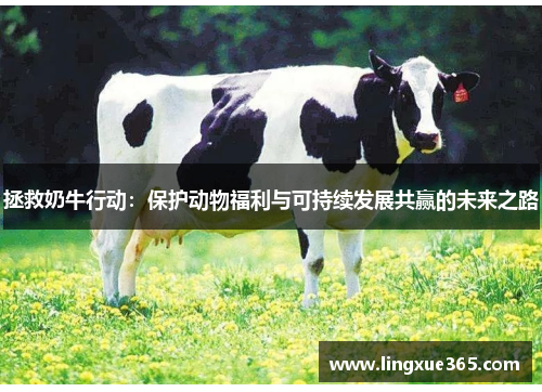 拯救奶牛行动：保护动物福利与可持续发展共赢的未来之路