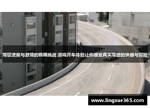 驾驭速度与激情的极限挑战 游戏开车体验让你感受真实驾驶的快感与冒险