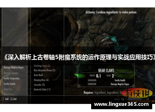 《深入解析上古卷轴5附魔系统的运作原理与实战应用技巧》